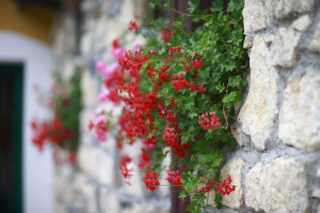 Kumrovec Guesthouse Villa Zelenjak Ventek מראה חיצוני תמונה